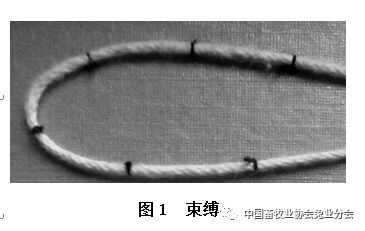 制作纱线的工具