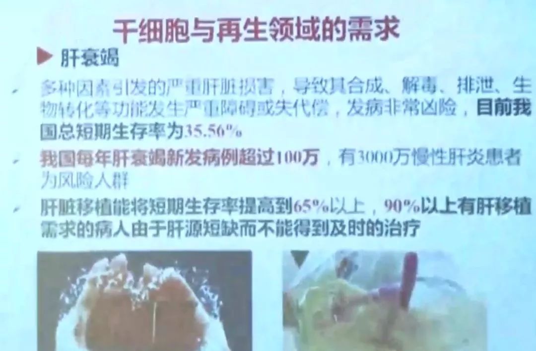 比较绒毛和针毛的实验报告