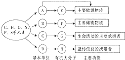 有机中间体制备